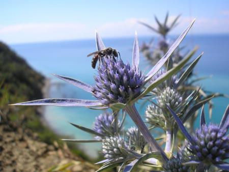 Uršlarija 2024  (1)